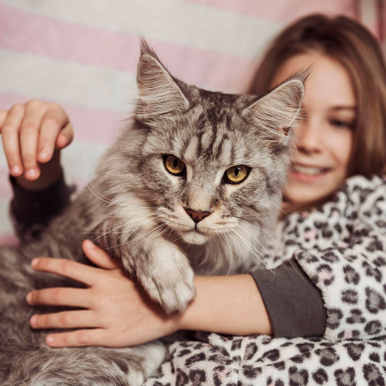 girl-cat-sitting-bed